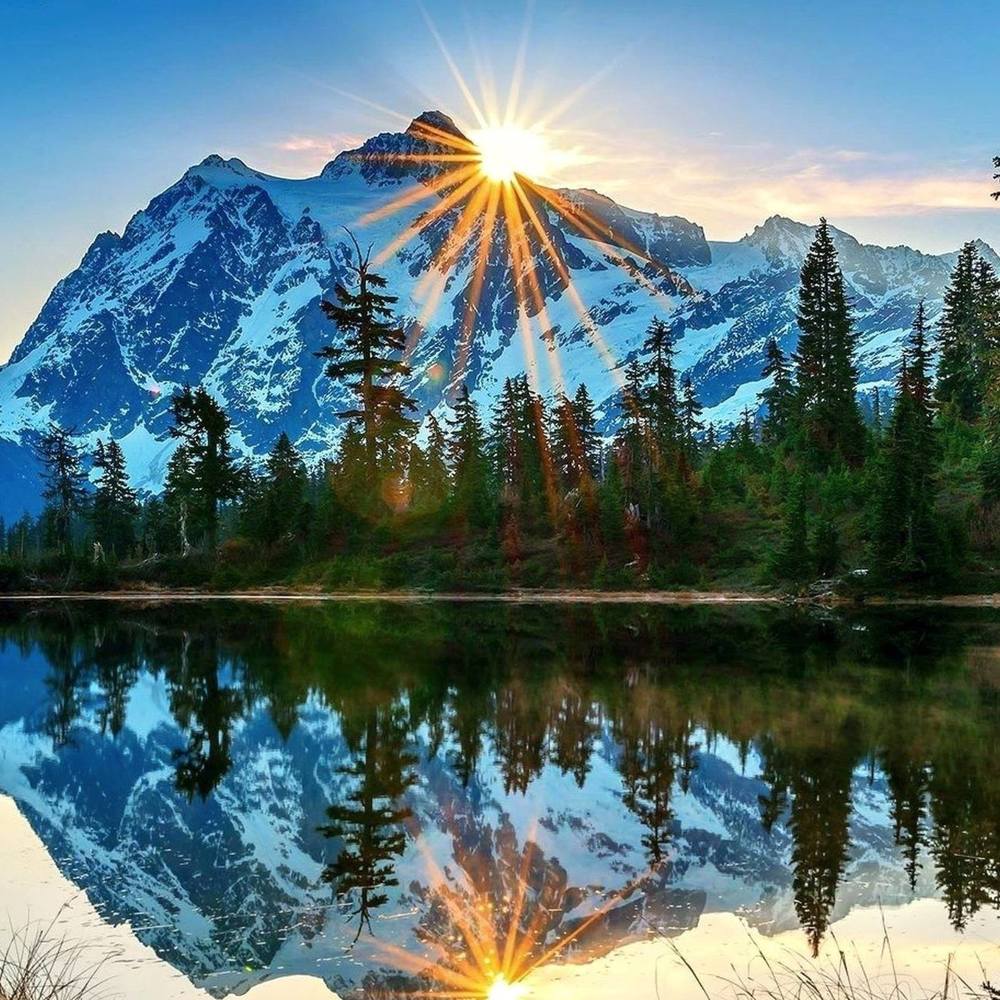 Meet your Posher, Llamacorn